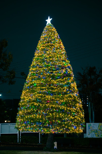<p>聖学院大学は11月20日（水）にクリスマスツリーの点火祭とキャンパスを活用したクリスマスマーケットやパイプオルガンコンサート、キャンパスをキャンドルで装飾するキャンドルナイトなど、クリスマスを祝うイベントを開催しました。 系列校の聖学院みどり幼稚園や、繋がりの深い聖学院教会との共催で実施。 学生や卒業生をはじめ、地域の方々も多く参加され、神学校を母体とした埼玉県唯一のミッションスクールとしてクリスマスを迎える喜びを共有し、また地域との結びつきを深める機会を持ちました。</p>