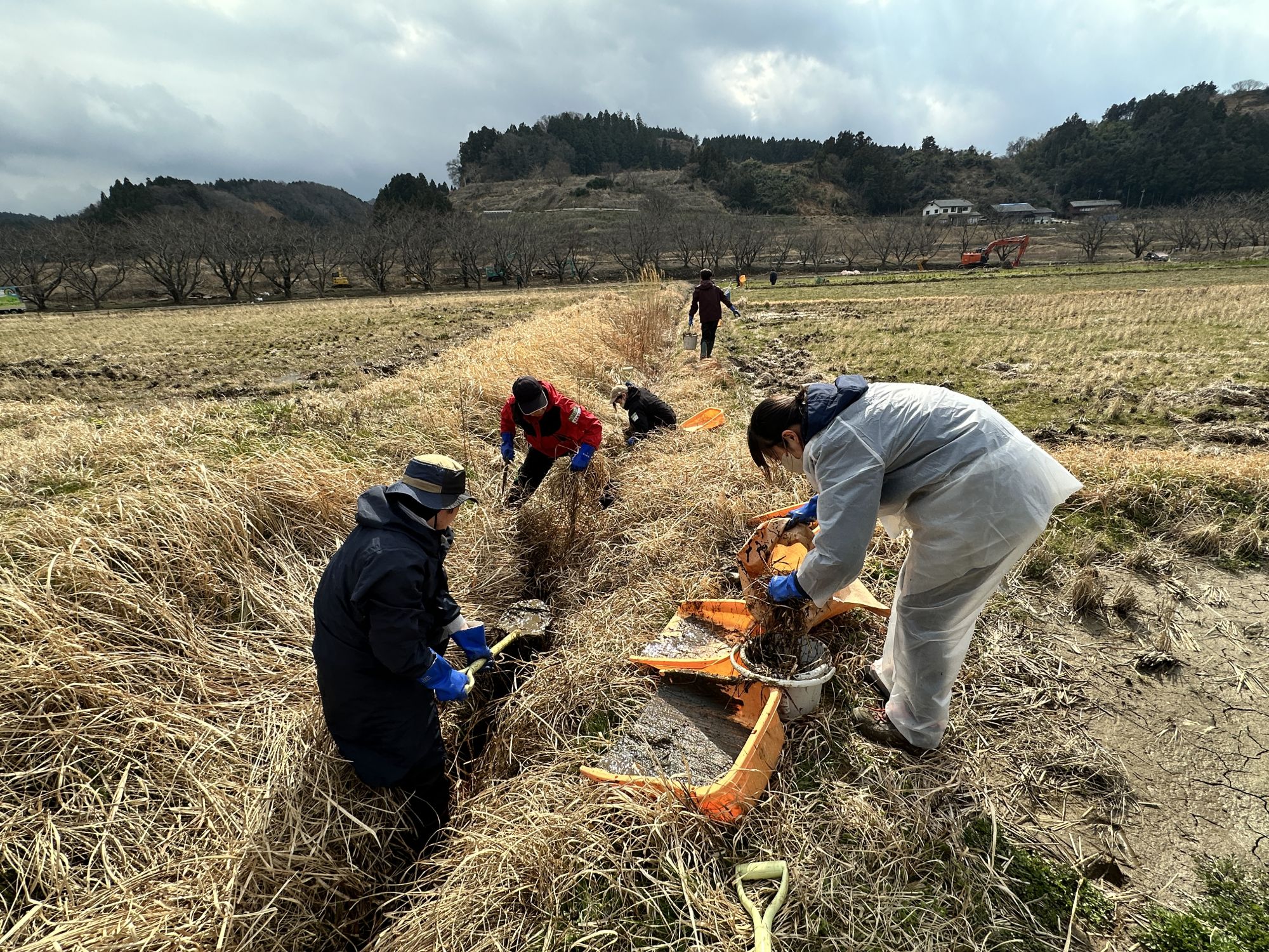 田んぼの用水路の泥出しの様子