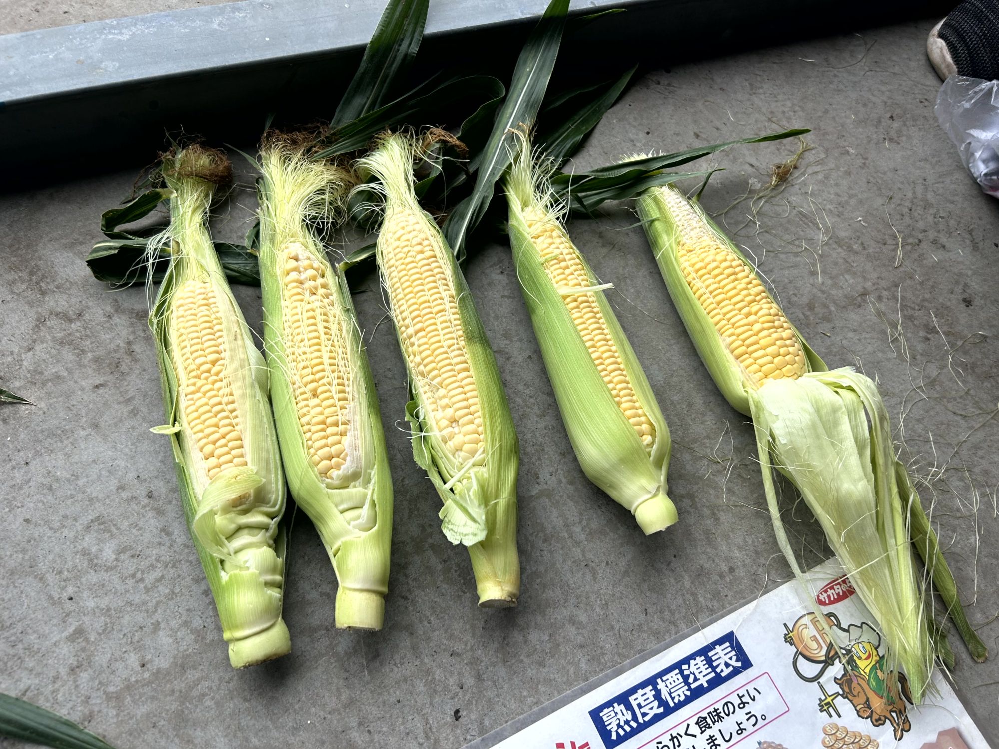 「今」を伝える聖学院大学ダイジェストSESSION